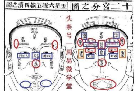 揭开正宫命格的神秘面纱：你的命运密码在这里！