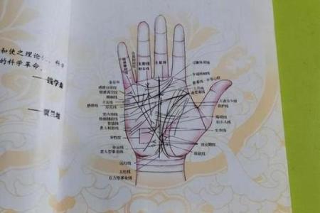 揭示手掌之谜：掌纹与命运的奇妙关系
