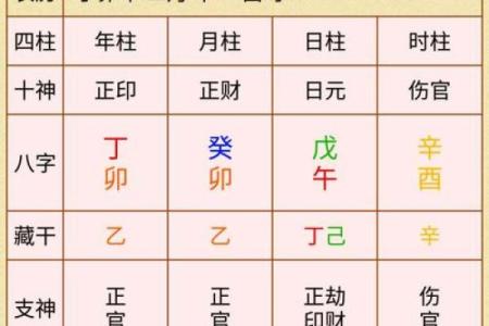 男士酉时出生，命运解析与人生运势解读