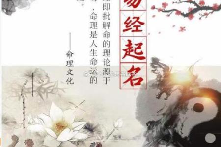 揭秘：什么命最容易学占卜，掌握命运的奥秘！