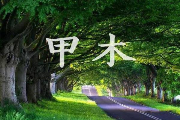 天河水命的饰品选择:如何为您的命理添光彩? 天河水命的饰品选择:如何为您的命理添光彩?