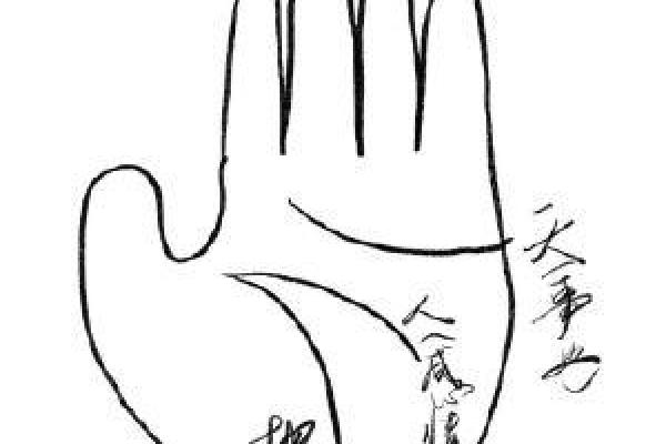 何为梅花面相?揭开梅花面相女命的神秘面纱! 何为梅花面相?揭开梅花面相女命的神秘面纱!