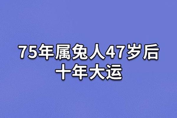 1975年属兔,何为兔年与出生命理的结合探讨 1975年属兔,何为兔年与出生命理的结合探讨