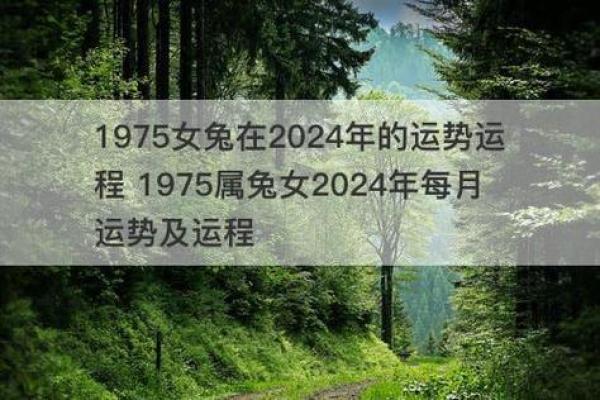 1975年属兔,何为兔年与出生命理的结合探讨 1975年属兔,何为兔年与出生命理的结合探讨