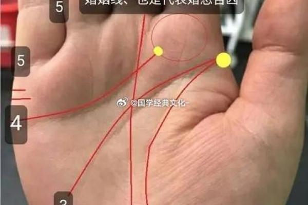 断掌女人的命运解析:揭秘手相背后的深意与人生轨迹 断掌女人的命运解析:揭秘手相背后的深意与人生轨迹