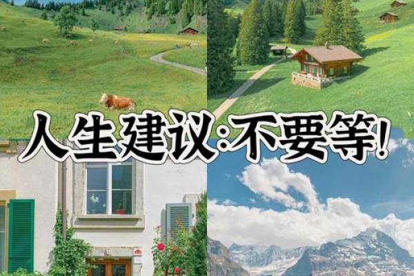 976年出生人士的命格解析与人生建议 976年出生人士的命格解析与人生建议