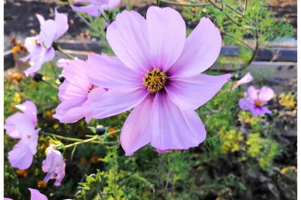 鼠涧下水命佩戴什么？揭秘命理与饰品的神秘关联