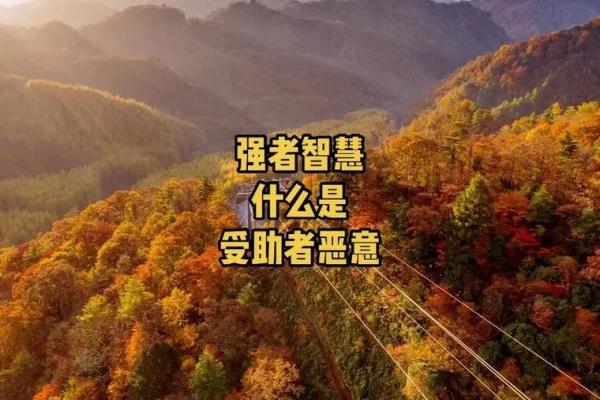 看透命格:如何通过细节洞悉他人的命运玄机 看透命格:如何通过细节洞悉他人的命运玄机