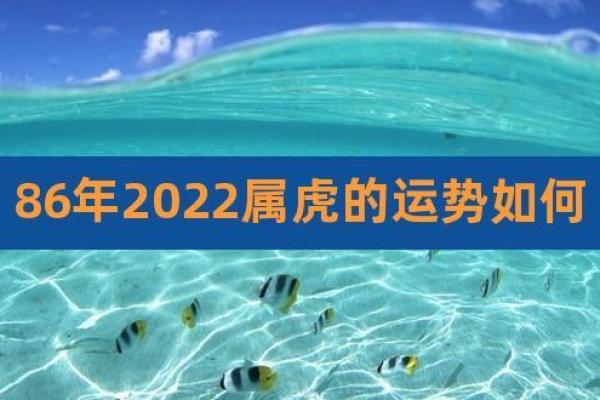 2022年运势解析:如何把握这一年中的机遇与挑战 2022年运势解析:如何把握这一年中的机遇与挑战