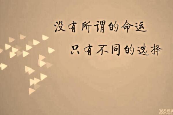 一九四六年:命运眷顾与新生的转折点 一九四六年:命运眷顾与新生的转折点