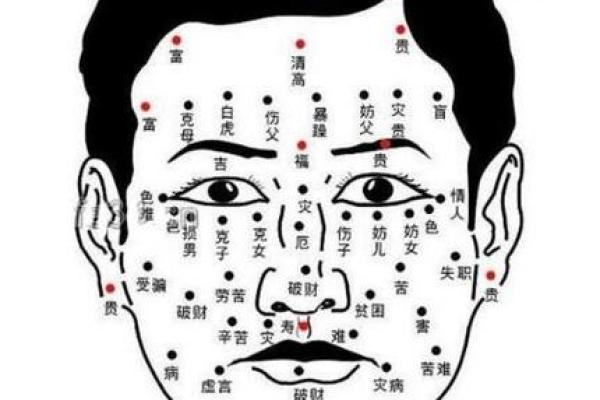 揭秘2019年出生男孩的命运与运势分析,助你养成良好性格! 揭秘2019年出生男孩的命运与运势分析,助你养成良好性格!