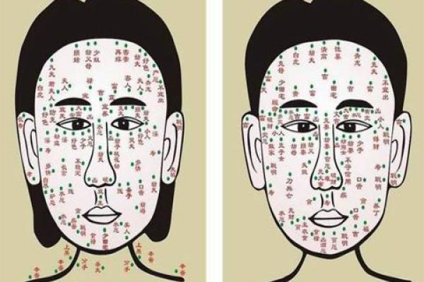 2007年是什么命?解密2007年出生人的命运与性格特征 2007年是什么命?解密2007年出生人的命运与性格特征