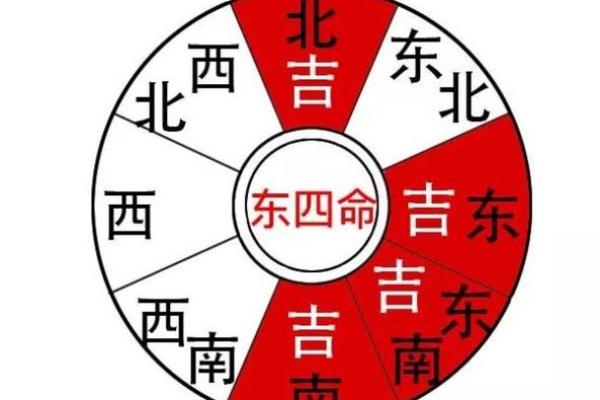 探秘东四命震卦的深刻含义与生活应用 探秘东四命震卦的深刻含义与生活应用