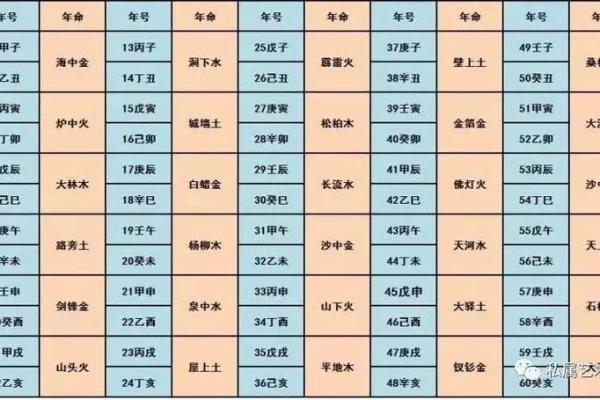 根据我属什么就是什么命,探寻生肖背后的命运密码 根据我属什么就是什么命,探寻生肖背后的命运密码