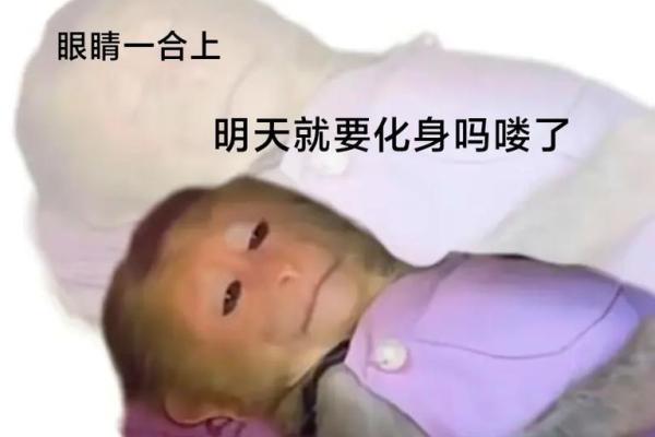 《马楼的命也是命吗:探讨命运与选择的哲学思考》 《马楼的命也是命吗:探讨命运与选择的哲学思考》