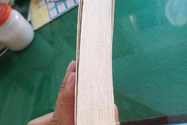 1992年出生的男性命运解析:运势、性格与人生哲学 1992年出生的男性命运解析:运势、性格与人生哲学