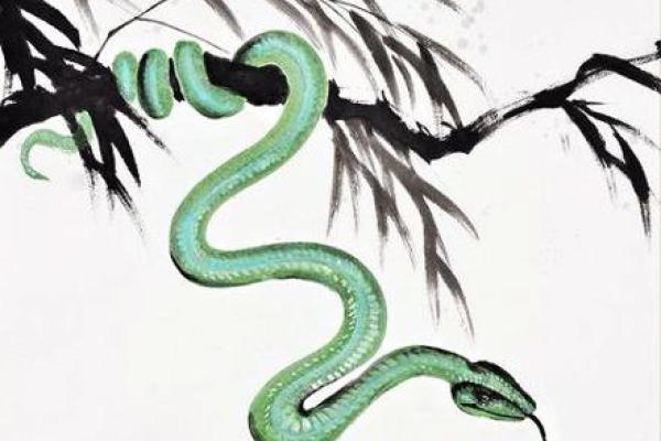 2023年属蛇人命运解析:探索个人发展与未来机遇 2023年属蛇人命运解析:探索个人发展与未来机遇