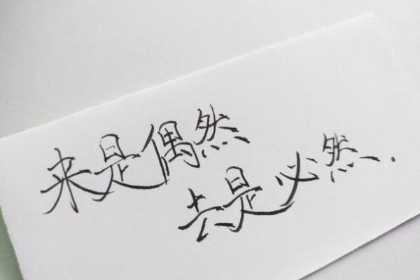 探秘己巳年:为何属于土命的命格与人生之道 探秘己巳年:为何属于土命的命格与人生之道