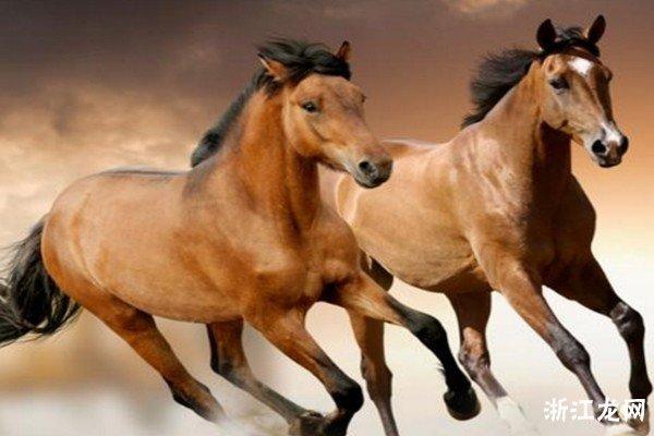 1996年10月20日出生的人命运与性格分析 1996年10月20日出生的人命运与性格分析