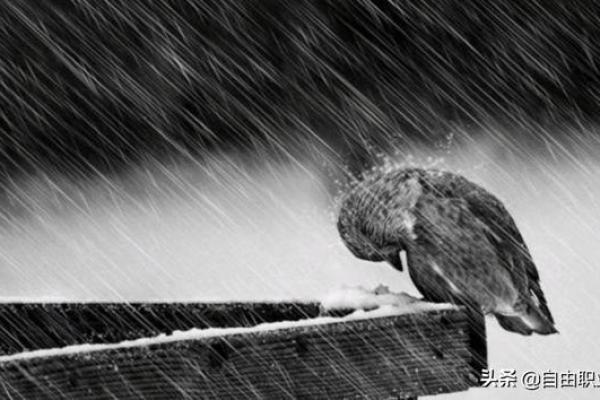 1990年端午出生的人命运解析:揭秘他们的性格与人生轨迹 1990年端午出生的人命运解析:揭秘他们的性格与人生轨迹