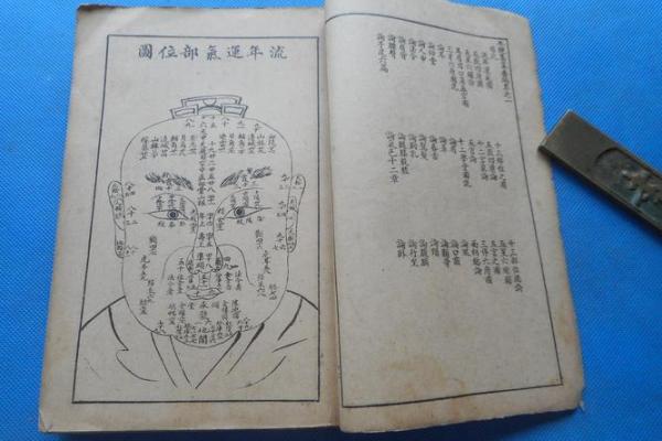 命理启示:北斗星与动物的神秘联系 命理启示:北斗星与动物的神秘联系