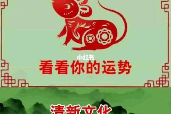 2001属鼠人的命运解析:财富、性格与未来发展的多重解读 2001属鼠人的命运解析:财富、性格与未来发展的多重解读