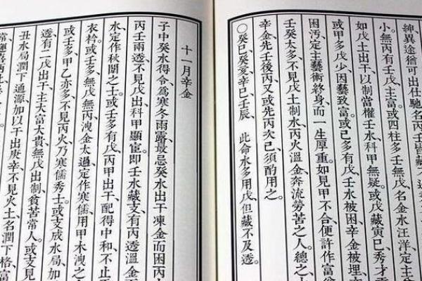 2020年冬月属什么命?看命理如何解读这一特殊的年份 2020年冬月属什么命?看命理如何解读这一特殊的年份