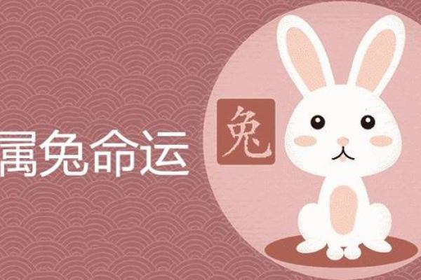 1987年属兔人的命运与性格解析:温柔且有智慧的生命旅程 1987年属兔人的命运与性格解析:温柔且有智慧的生命旅程