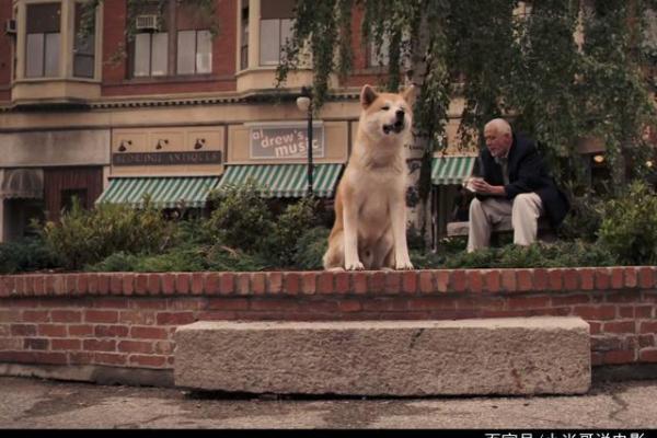 1975年7月的命运之轮:细数那个夏季的故事与启示 1975年7月的命运之轮:细数那个夏季的故事与启示