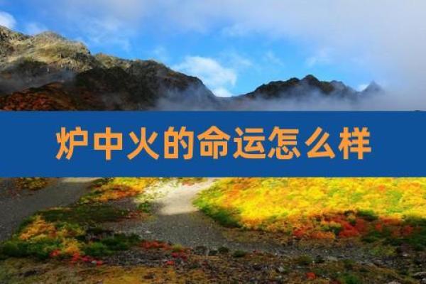 炉中火命的颜色选择与生活提升探究 炉中火命的颜色选择与生活提升探究