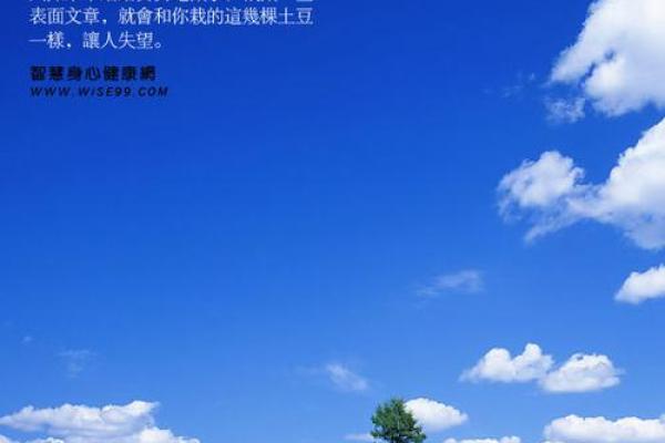 动物借命:与动物共生的心灵感悟与人生启示 动物借命:与动物共生的心灵感悟与人生启示