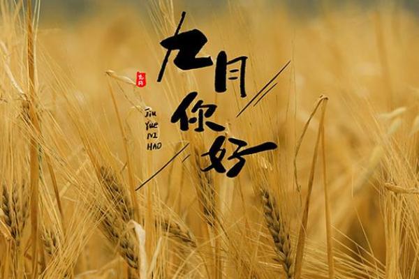 农历93腊月出生的人命理解析与人生建议