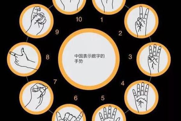 男人看脚趾的秘密：揭示你命运的隐藏玄机