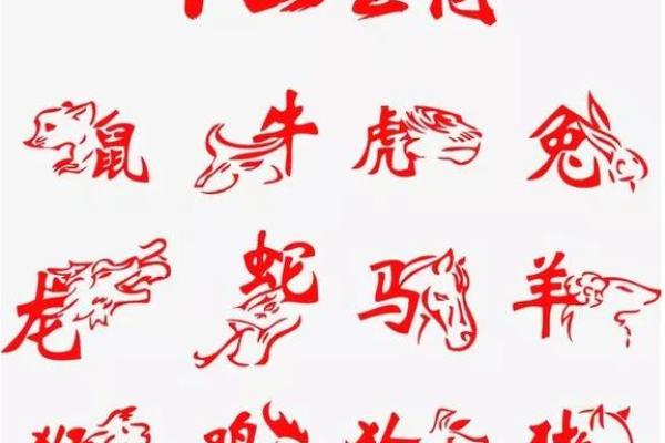 虎年宝宝的命理解析:属什么命最合适? 虎年宝宝的命理解析:属什么命最合适?
