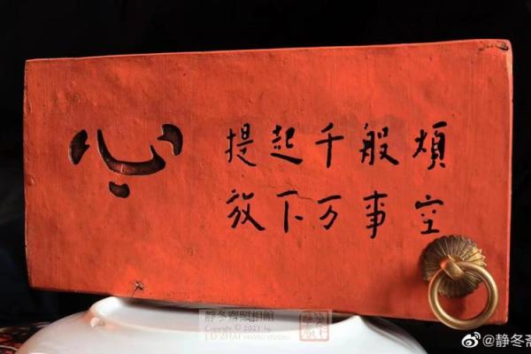 探索九七年半条命的背后:人生的启示与思考 探索九七年半条命的背后:人生的启示与思考