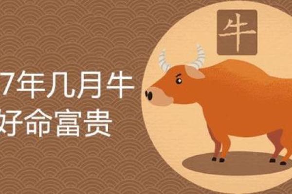 1975年的牛:坚毅与奋进的命运象征 1975年的牛:坚毅与奋进的命运象征