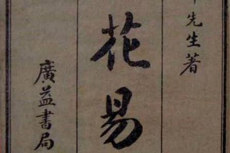 何为梅花面相？揭开梅花面相女命的神秘面纱！