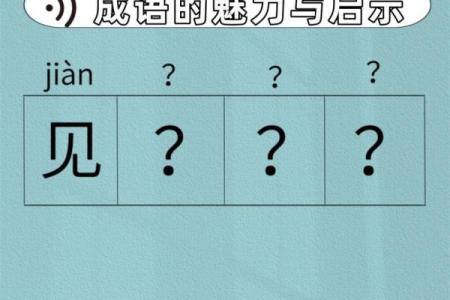 成语的魅力：从命名到运用，探寻中华文化的智慧之美