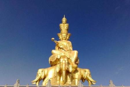 41属蛇的命运解析：智慧、变幻与人生轨迹的深度探索