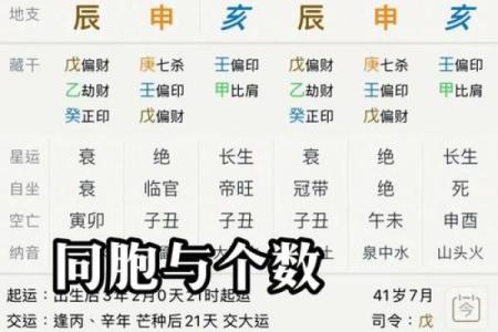 如何从命理看官运：你的八字能否助你步入官场？