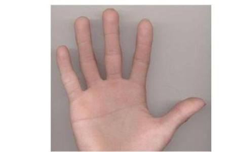 断掌命格解析：那些与众不同的人生轨迹