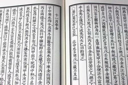 2020年冬月属什么命？看命理如何解读这一特殊的年份