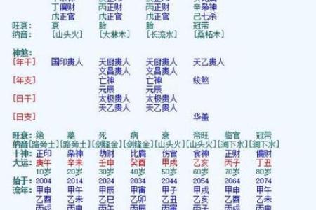 神武FM命格开启指南：如何选择最适合你的命格！