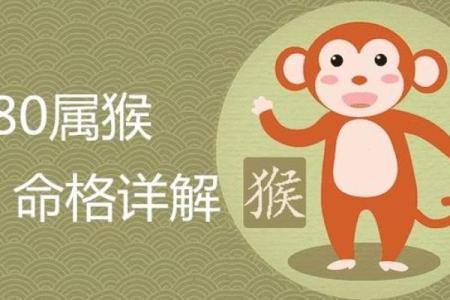 猴年出生的命运解析：深入探讨1992年属猴人的人生轨迹与潜力