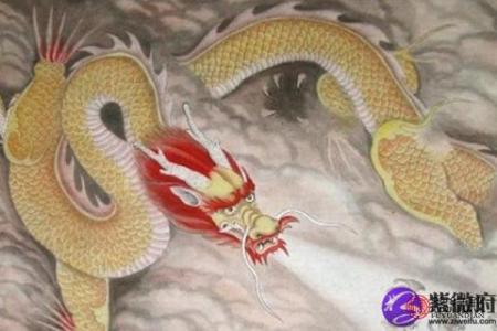 2012年鼠龙命运解析：揭示你与生俱来的独特气质与人生方向！