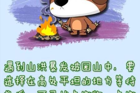 了解51属羊男人的命理特征与人生运势