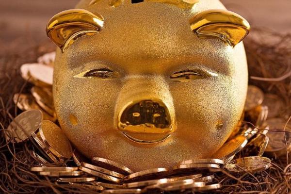 1983年属猪卯时人的命运解析与人生奥秘 1983年属猪卯时人的命运解析与人生奥秘