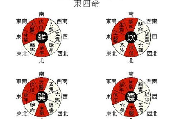 东四命与西四命的适宜方向选择:提升运势的智慧之选 东四命与西四命的适宜方向选择:提升运势的智慧之选