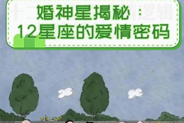 揭秘12星座的命运密码:你属于哪一类? 揭秘12星座的命运密码:你属于哪一类?