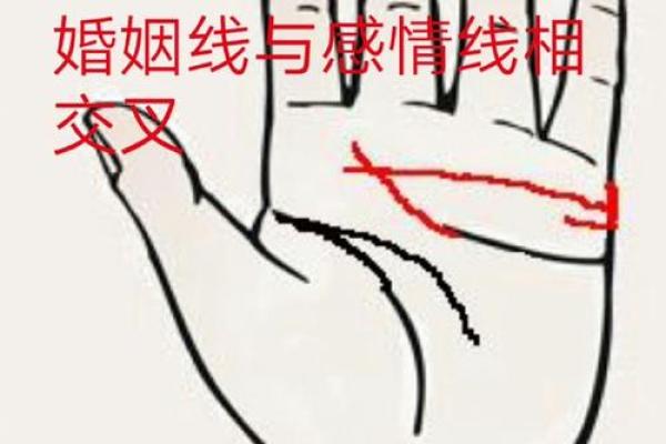 如何通过手相识别富贵命的男生，揭开命运的奥秘！